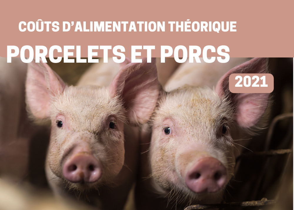 Inf. complémentaires : COÛTS D'ALIMENTATION THÉORIQUE - PORCS 2021